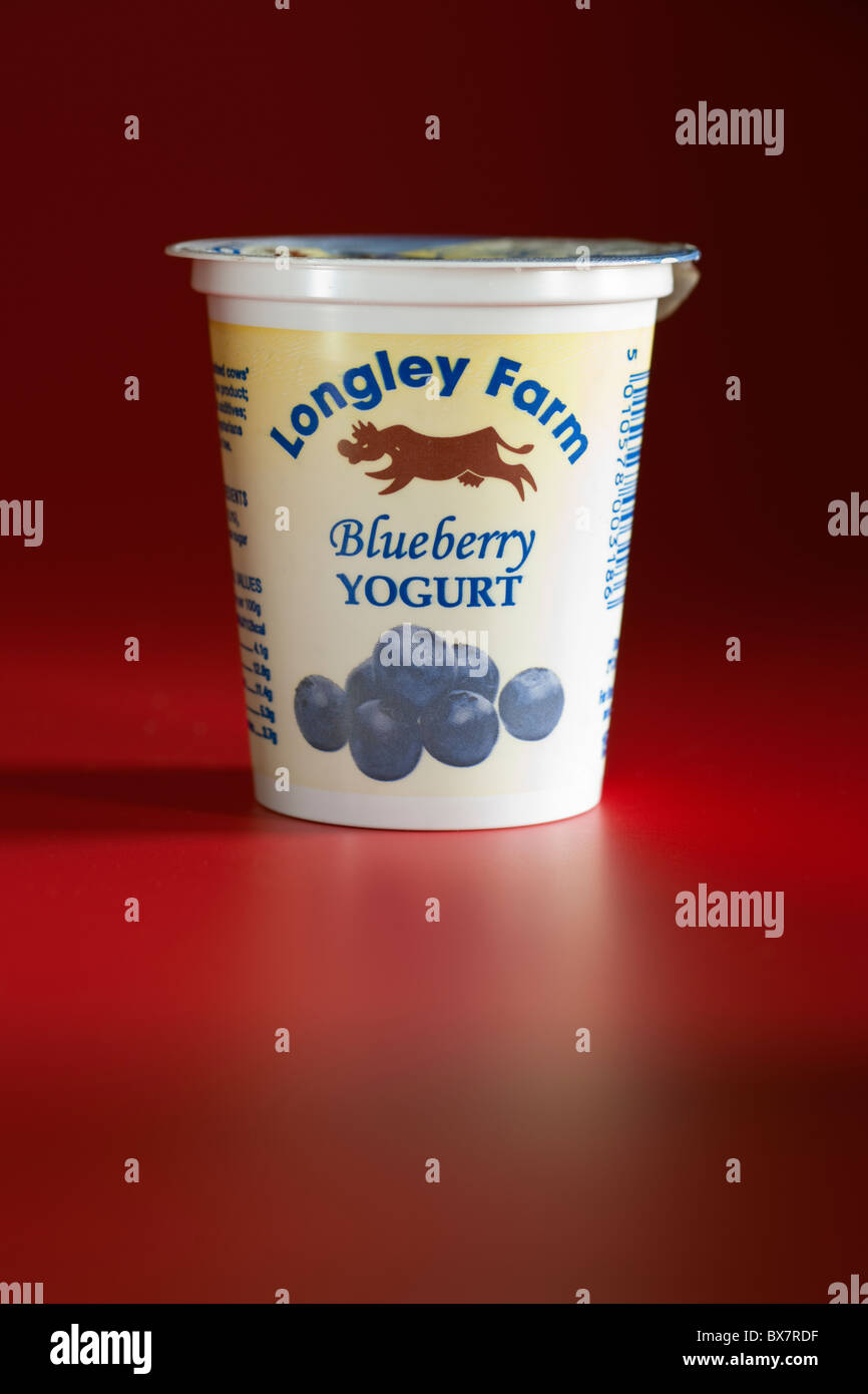 Longley Farm Blueberry Yogurt Yoghurt Stock Photo