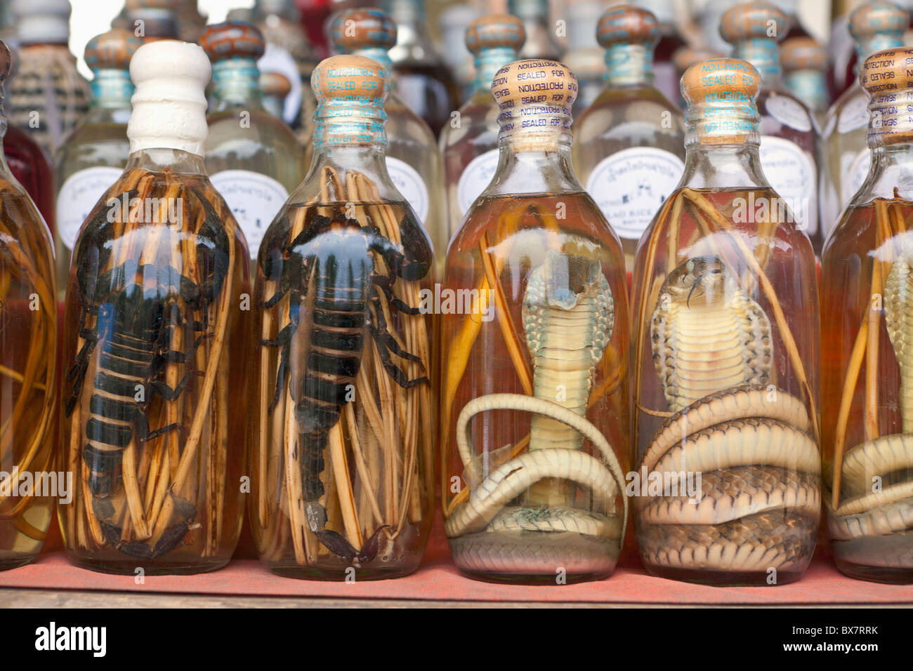 Laotian rum with snakes and scorpions on display at a market stall, Laos Stock Photo