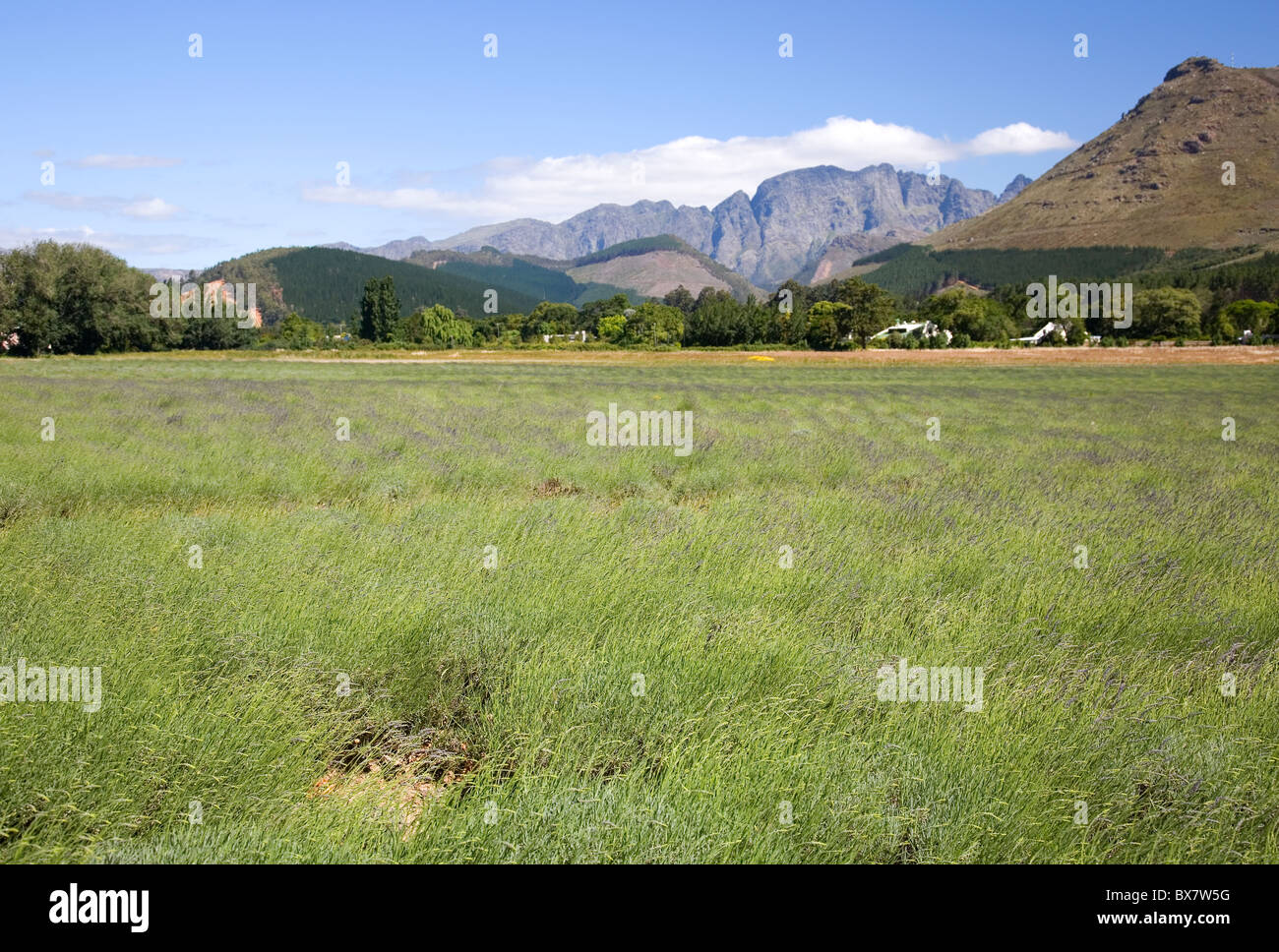 South african farm land hi-res stock photography and images - Alamy