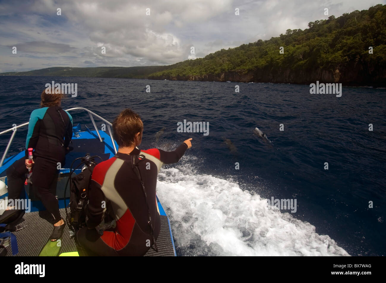 Tourists pointing at spinner dolphins at Christmas Island, Indian Ocean. No MR Stock Photo