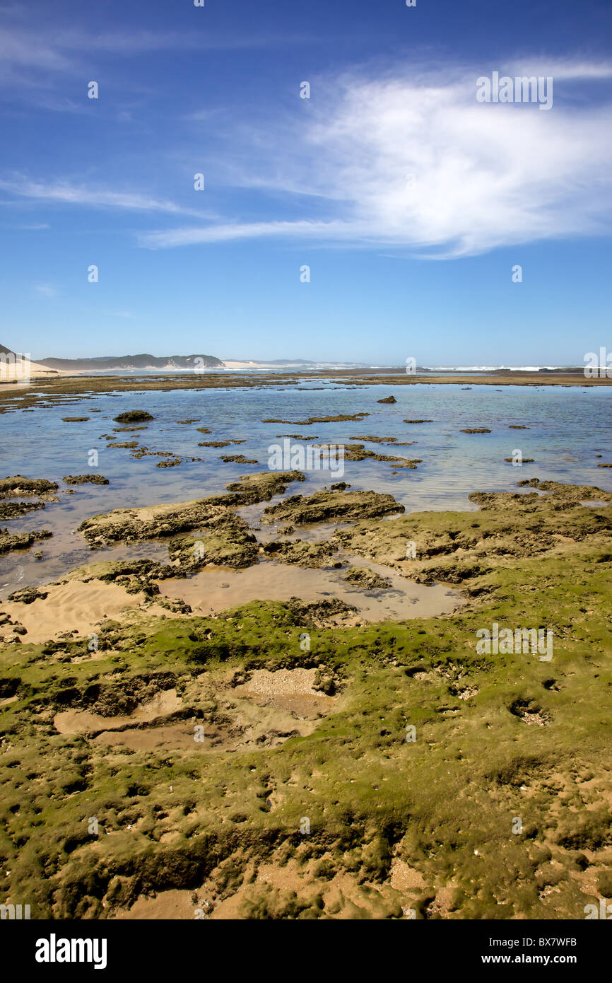 A tidal pool at KentononSea, in South Africa's Eastern Cape Stock Photo Alamy A tidal pool at KentononSea, in South Africa's Eastern Cape Stock Photo Alamy