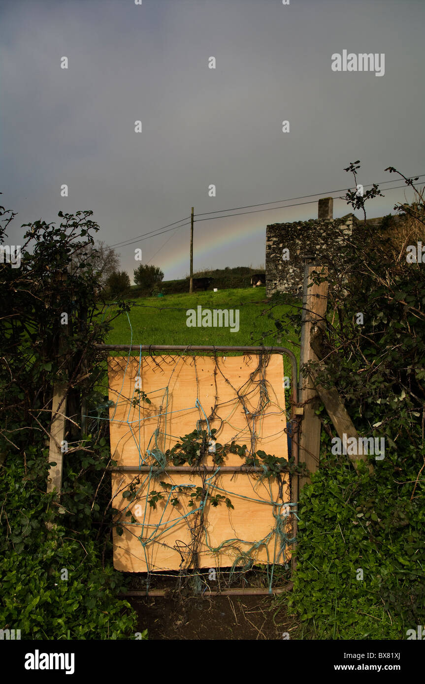 Sun just lighted this fence while the last rain showers give place to