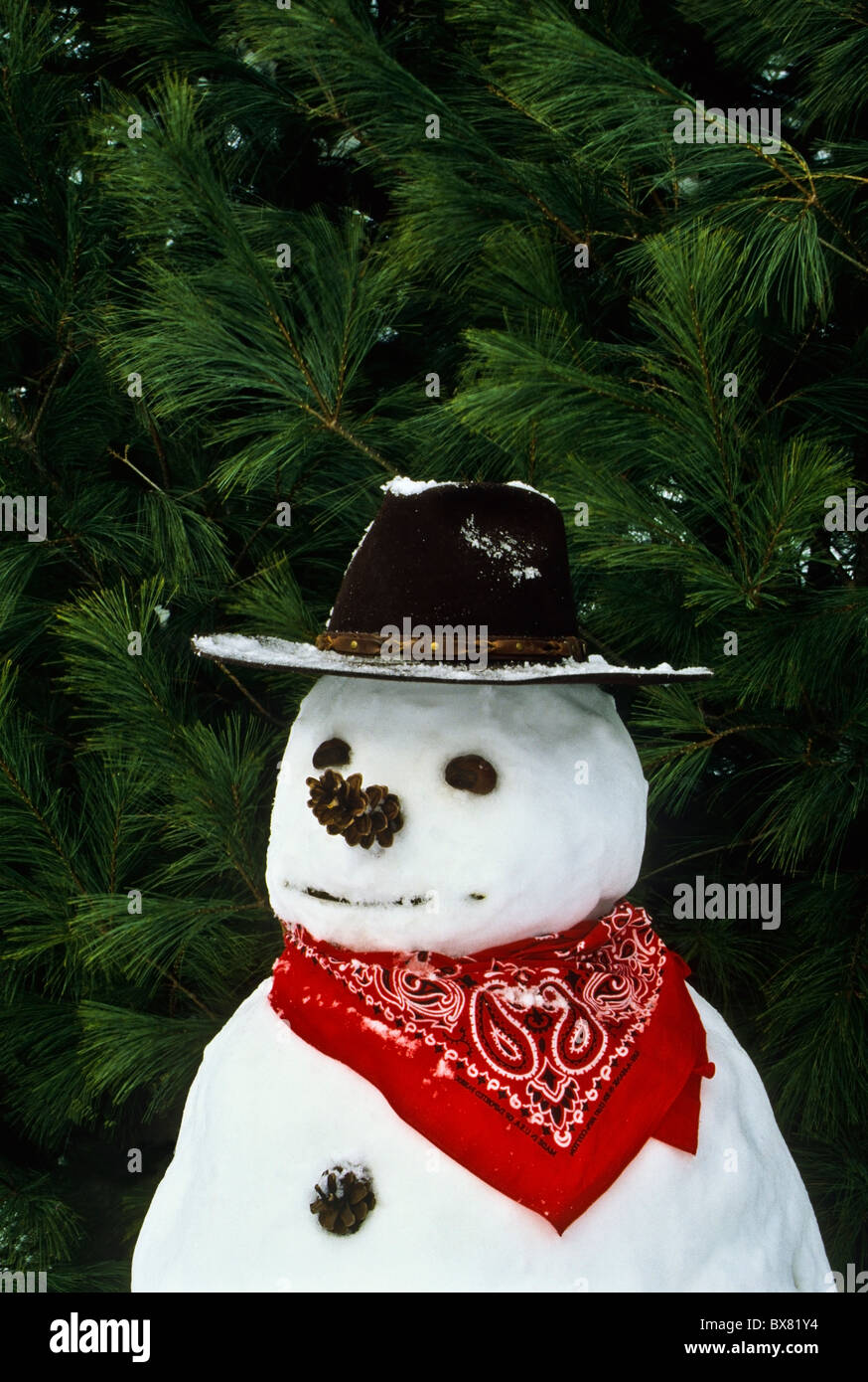Closeup of a western style American Wild West cowboy snowman farm garden in New Jersey, United States, USA, US, humour snow vertical farming Stock Photo