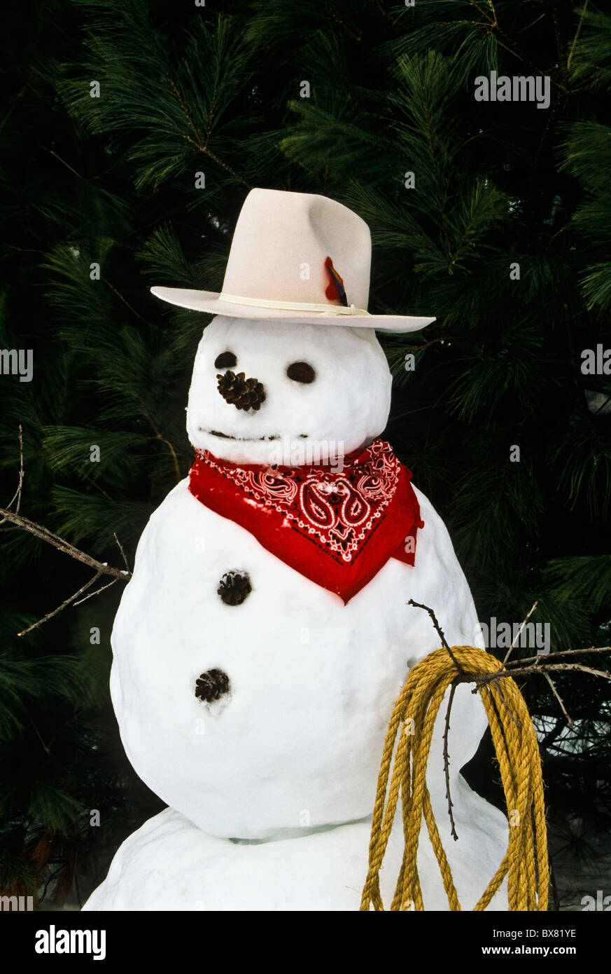 winter close up of an American Wild West cowboy snowman with a red bandanna, pine cone nose, hat / cap, New Jersey, USA, US, Christmas garden scene Stock Photo