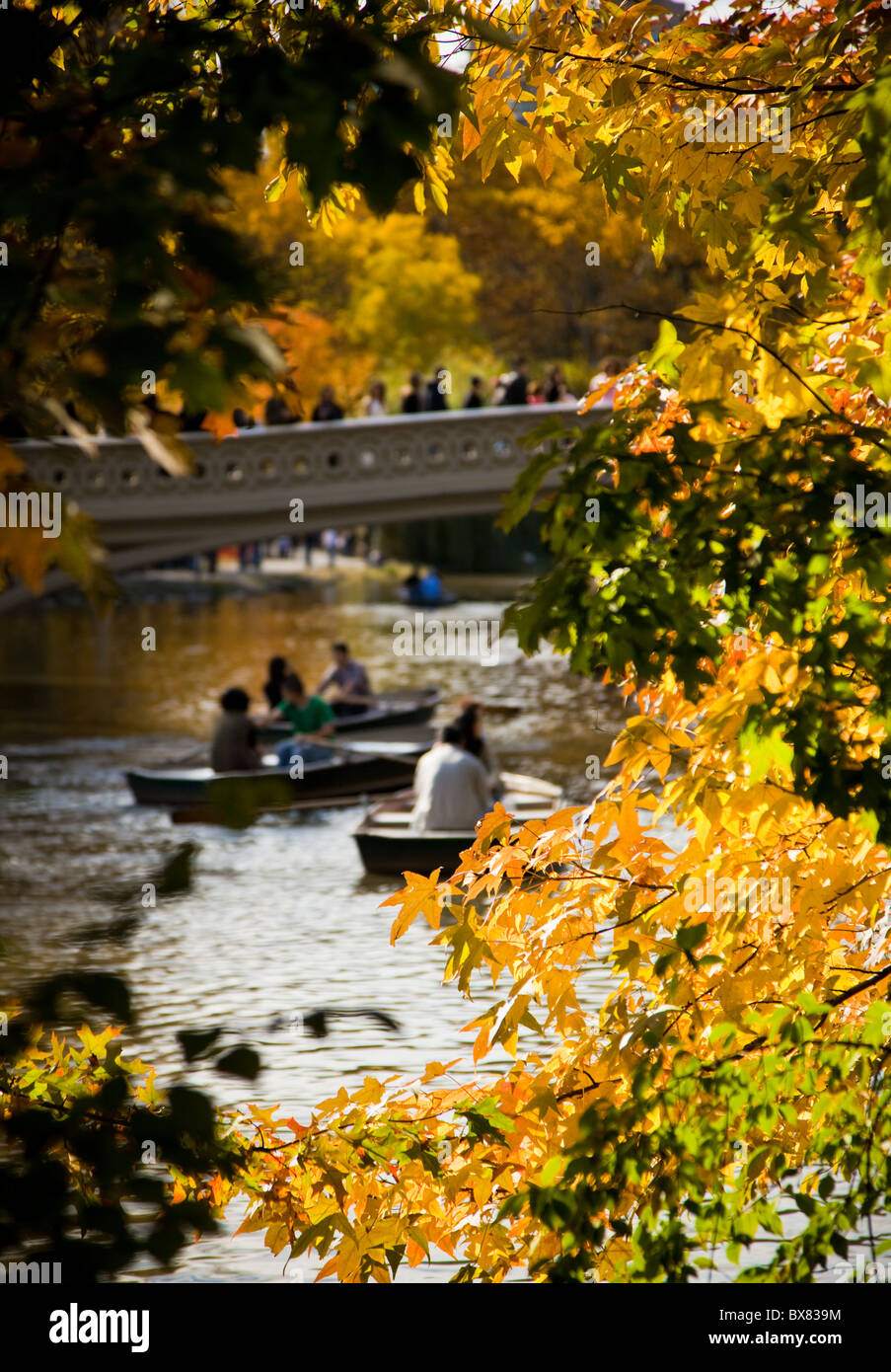 Boating on the pond in Central Park in autumn in New York City Stock