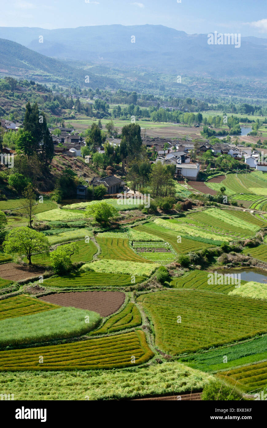 China traditional agriculture hi-res stock photography and images - Alamy