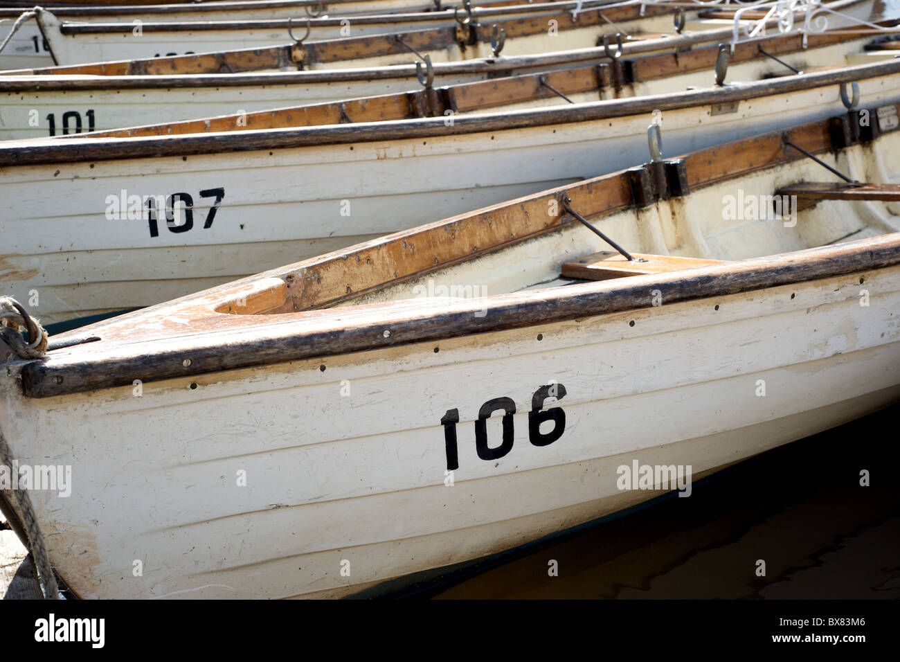 Rowing boats in the river Avon, Stratford-upon-Avon, Warwickshire Stock Photo