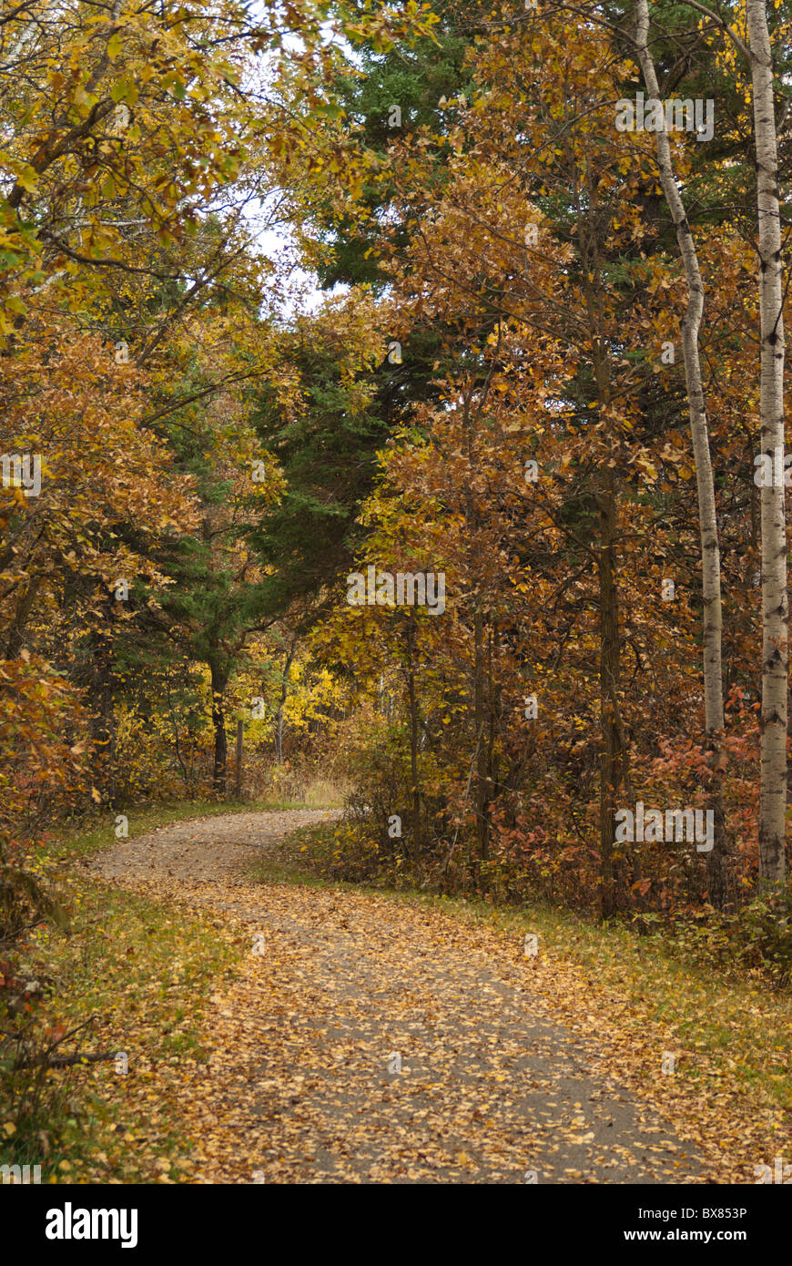 Birds Hill Manitoba Canada Stock Photo Alamy