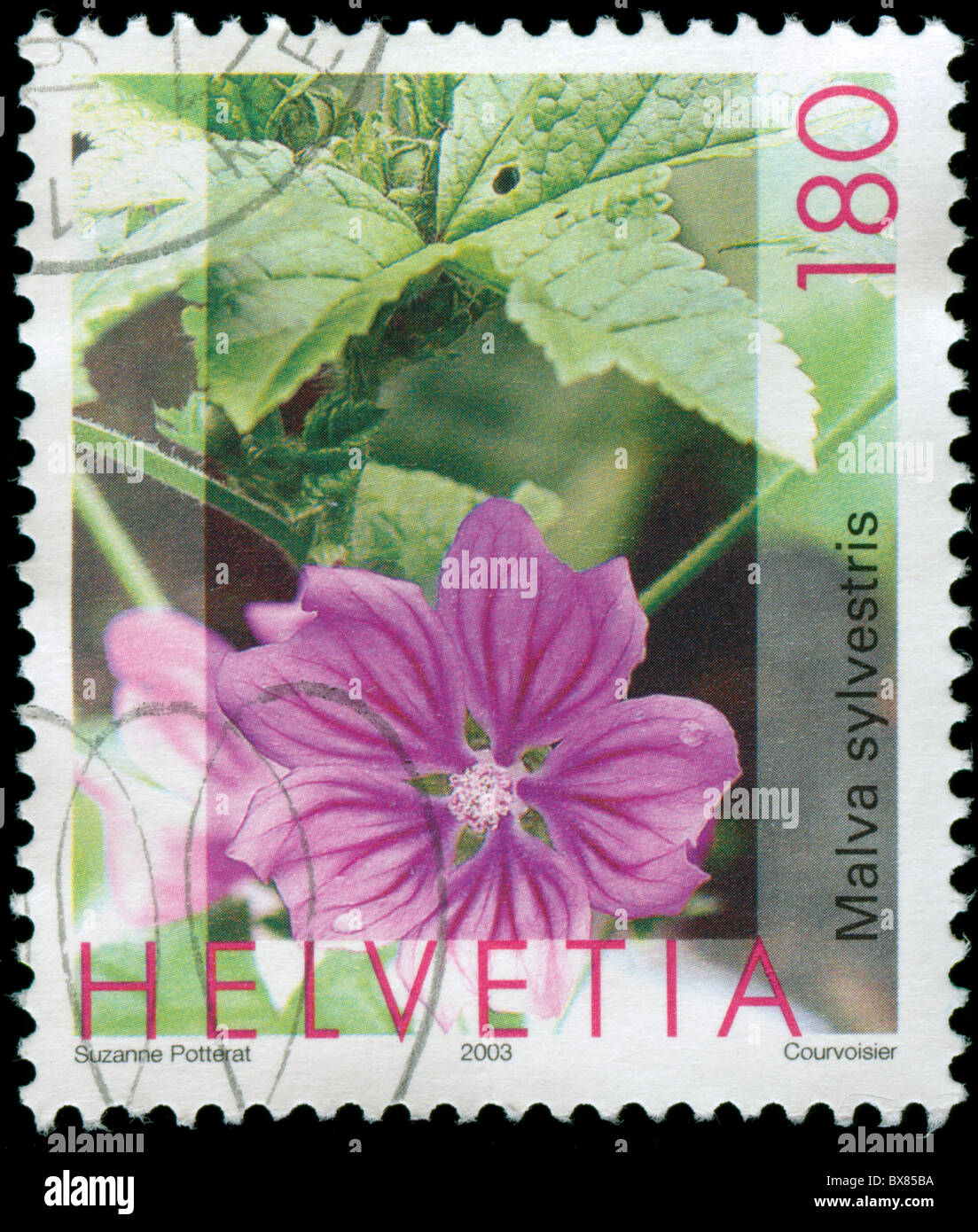 Swiss postage stamp with flower motif Stock Photo