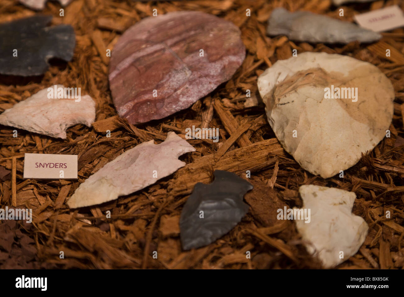 Snyders notched points or arrowheads left by the Mississippian culture at Cahokia Mounds State Historic Site, Illinois, USA. Stock Photo