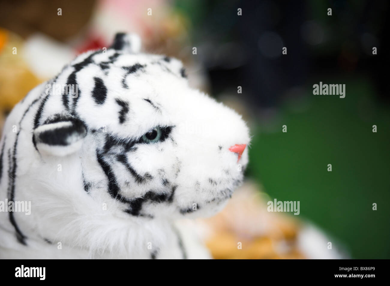 stuffed white tiger toy closeup with shallow DOF Stock Photo Alamy
