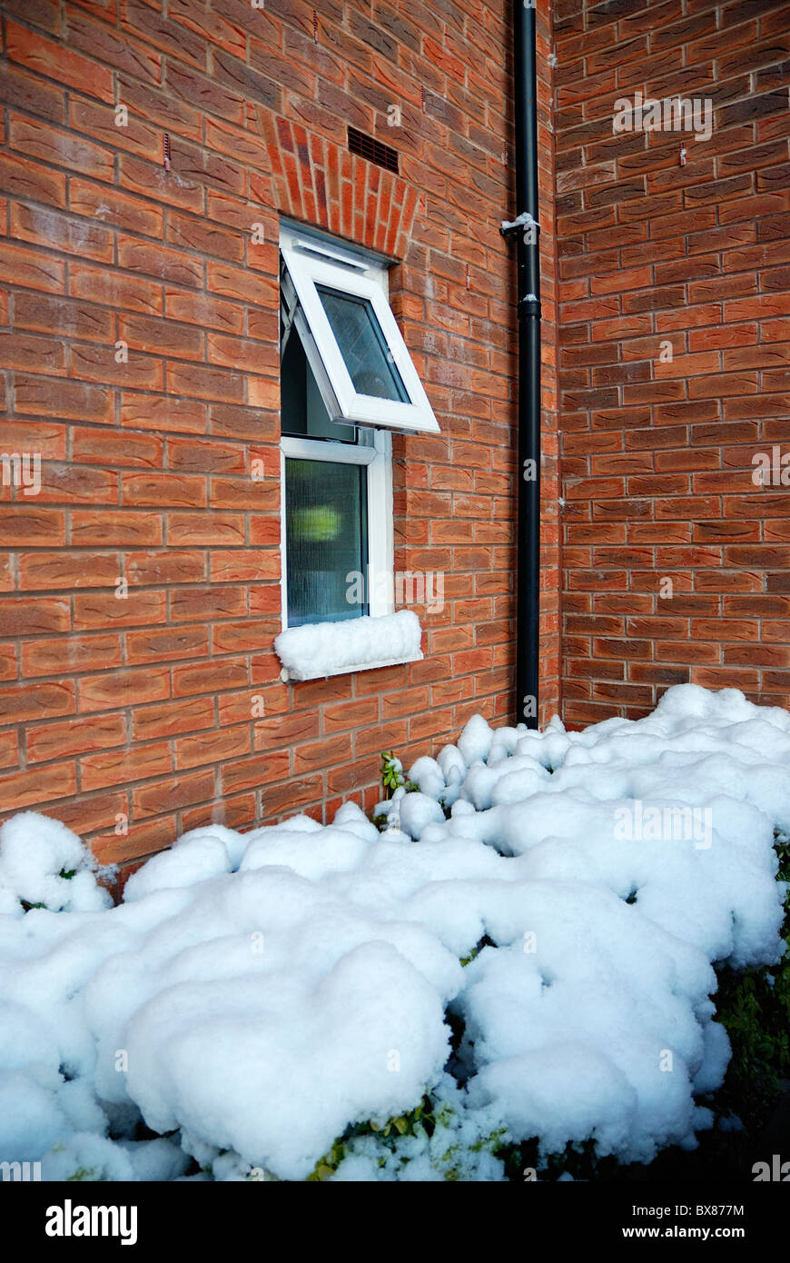 snow in bushes below bathroom window Stock Photo