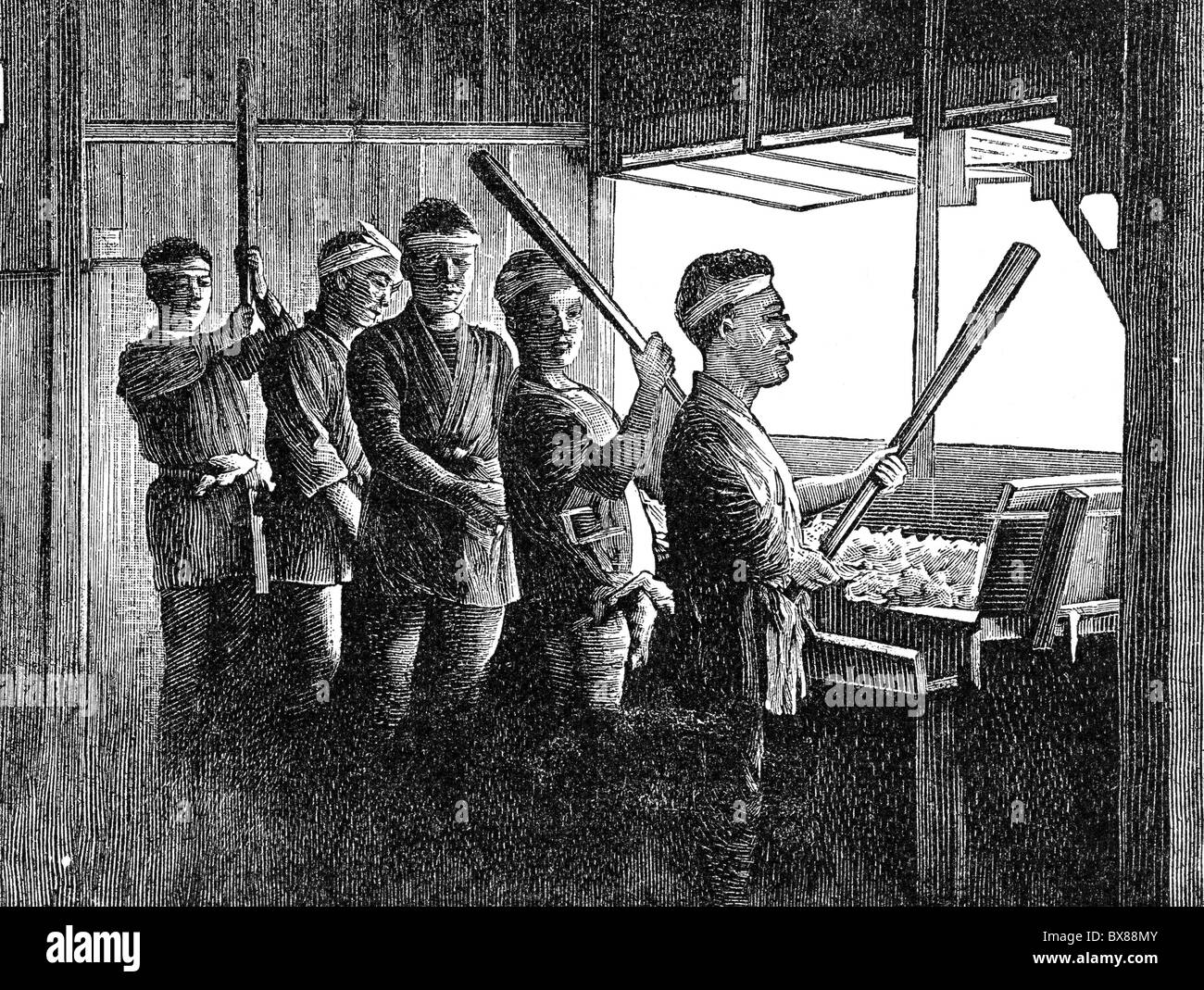 Mitsumata hires stock photography and images Alamy