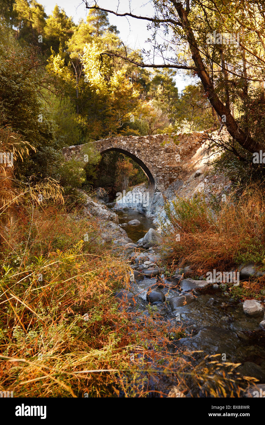 Elaia Venetian bridge, Troodos mountains, Cyprus. Stock Photo