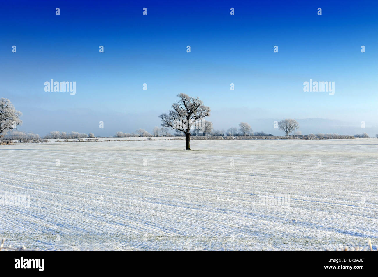 Snow covered field in winter Shropshire Uk Stock Photo