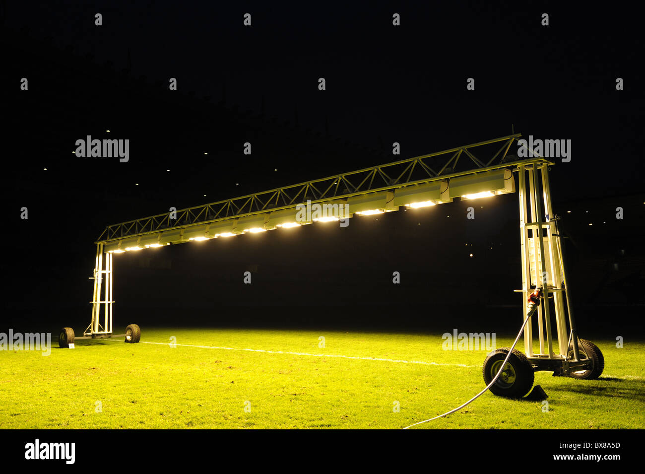 grow lights for grass