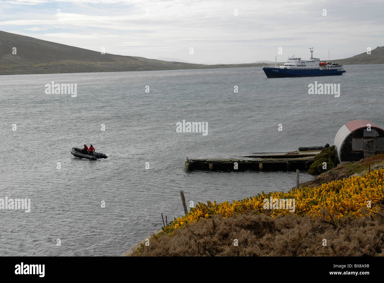 Bay with a small pier and the expedition vessel m/v Plancius and a Zodiac at Port Pattison, Carcass island, West Falkland Stock Photo