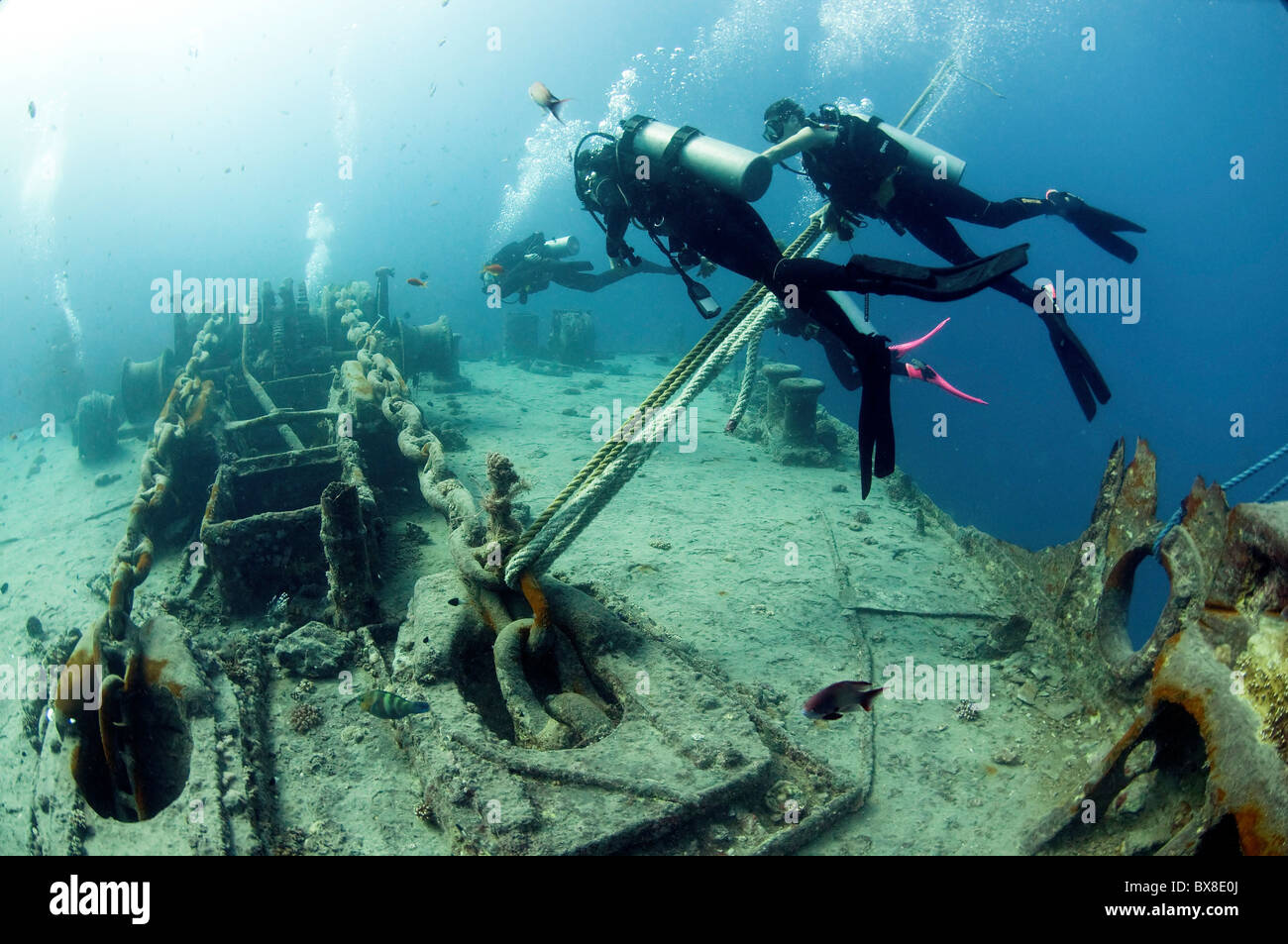 Divers at a shipwreck at Ras Mohammed National Park, Red Sea, Sinai, Egypt, Stock Photo