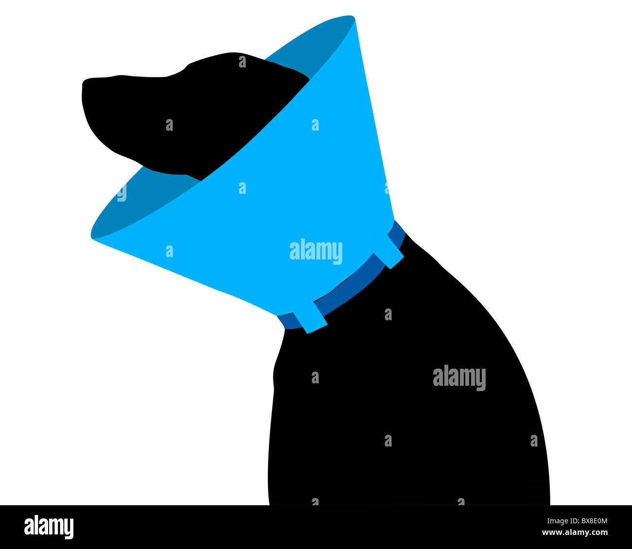 Dog with ruff Stock Photo Alamy