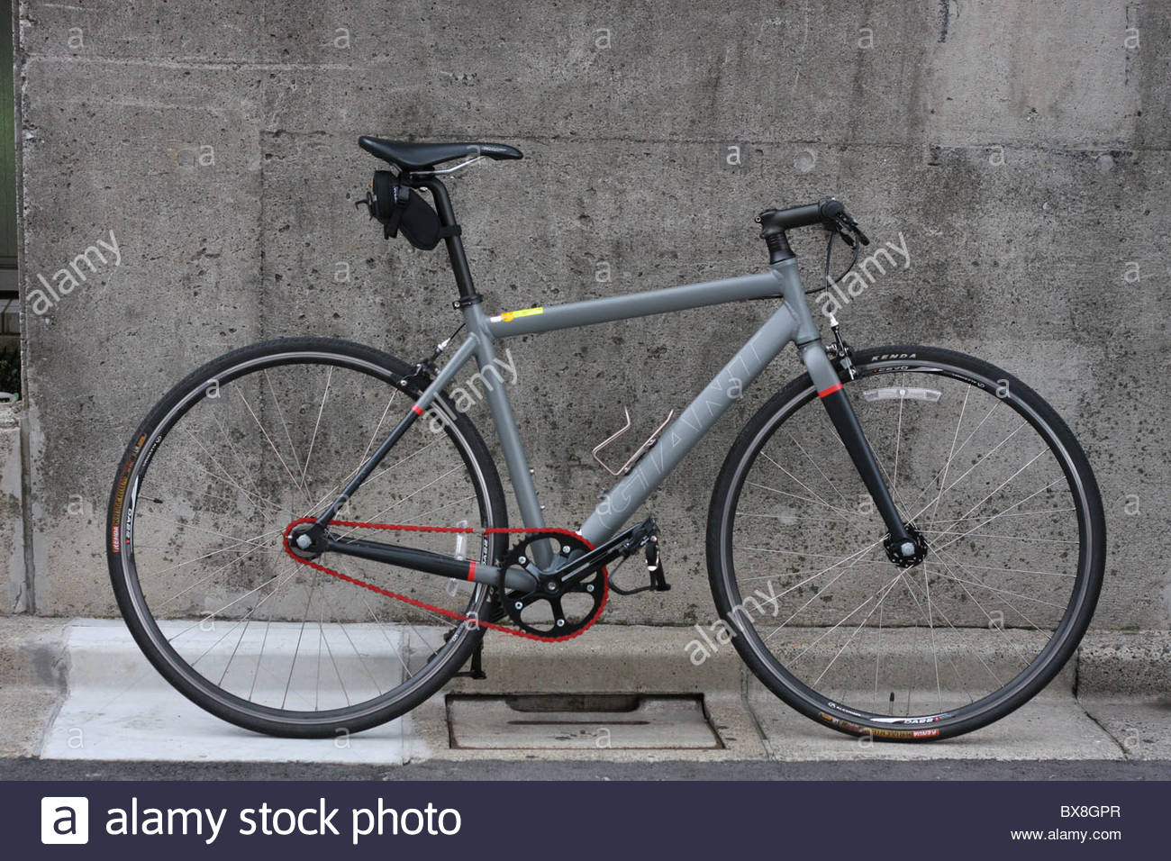 giant fixed gear bike