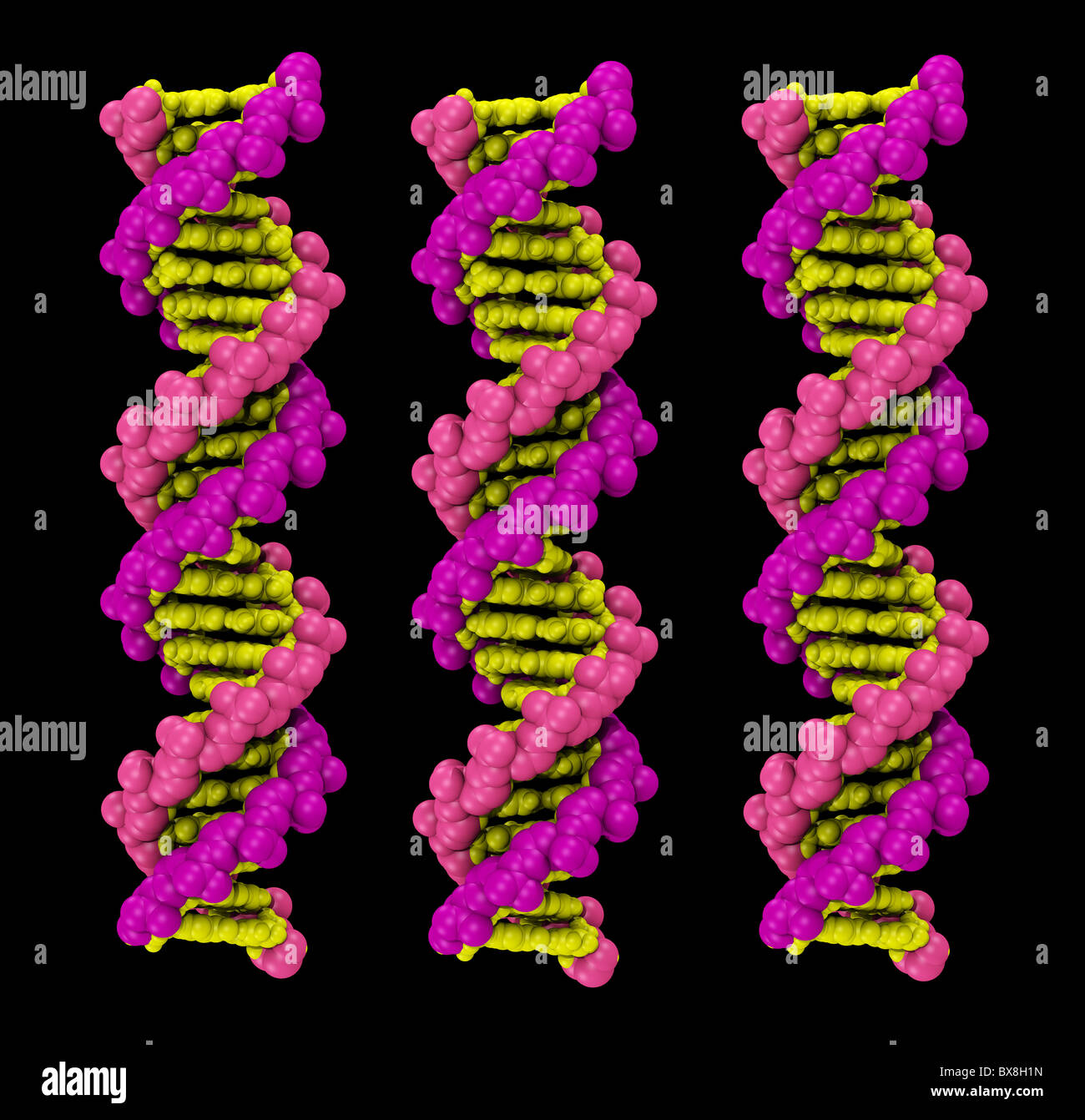 3d Space Filling Computer Model Of A Dna Molecule Stock Photo Alamy