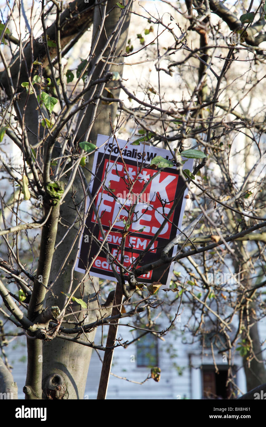 A banner put in the branches of a tree. Student protest. Parliament Square. Westminister. London Stock Photo
