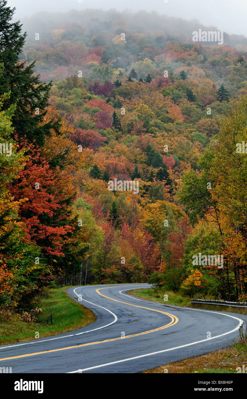 Fall Color In Mist Hi Res Stock Photography And Images Alamy