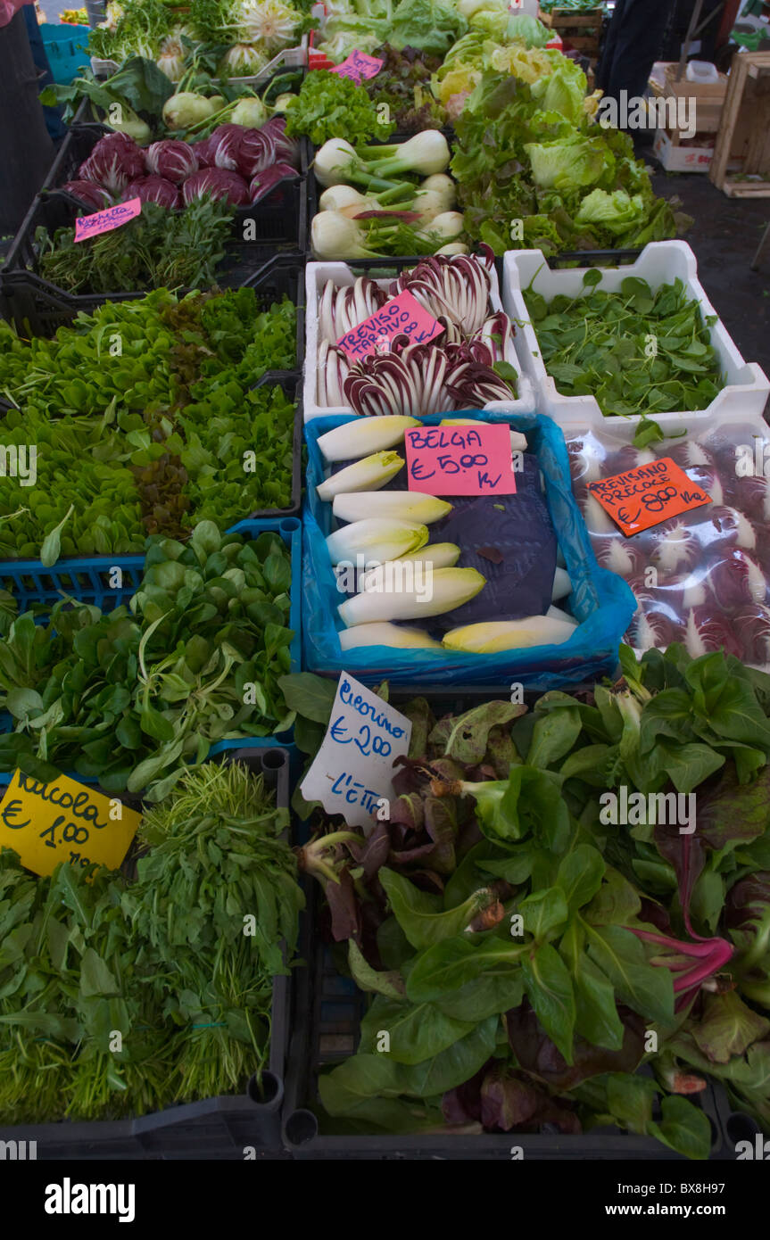 Leafy greens and other vegetables Campo de Fiori market centro storico