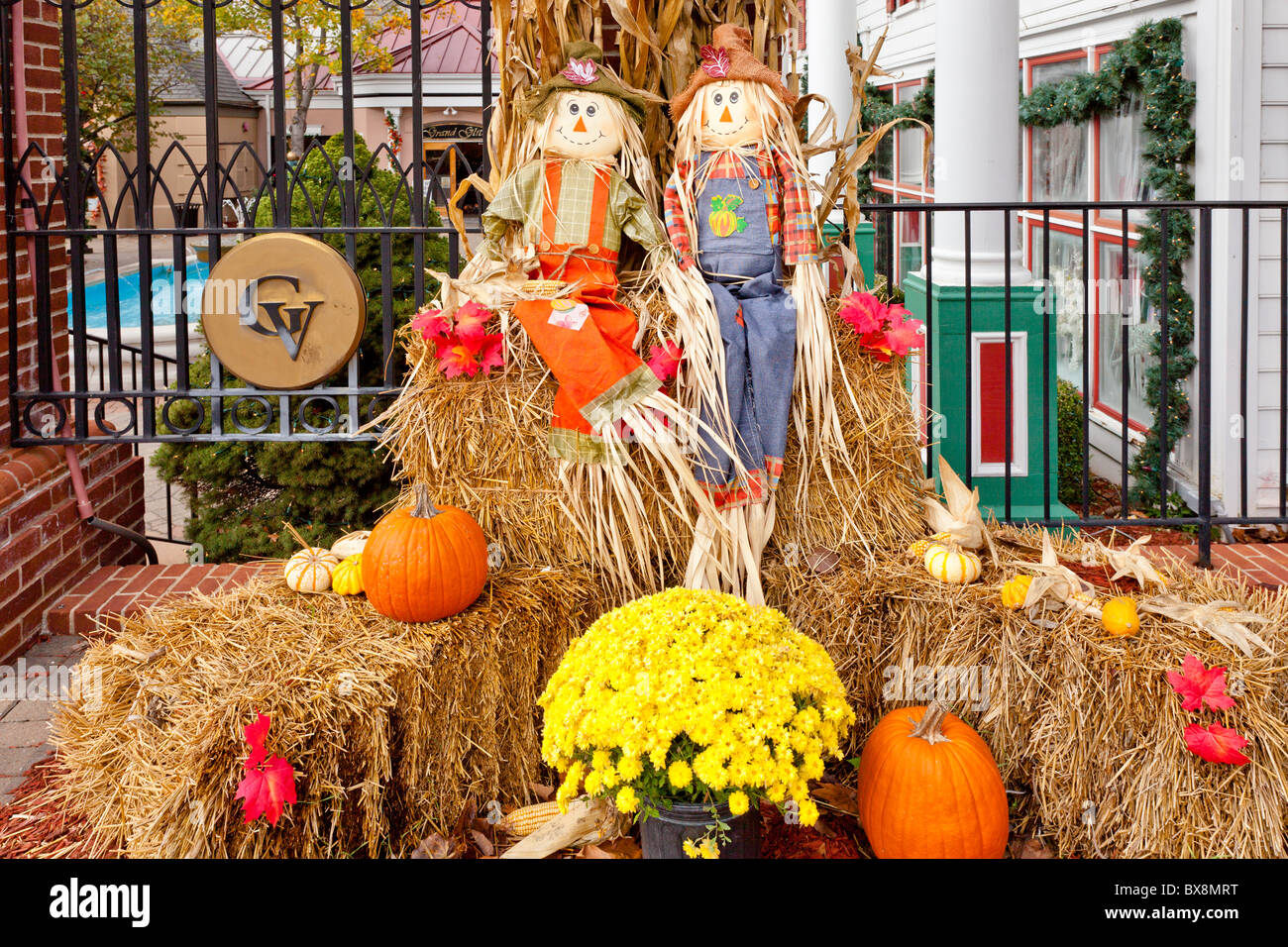 A fall display of scarecrows, pumpkins and corn stalks at