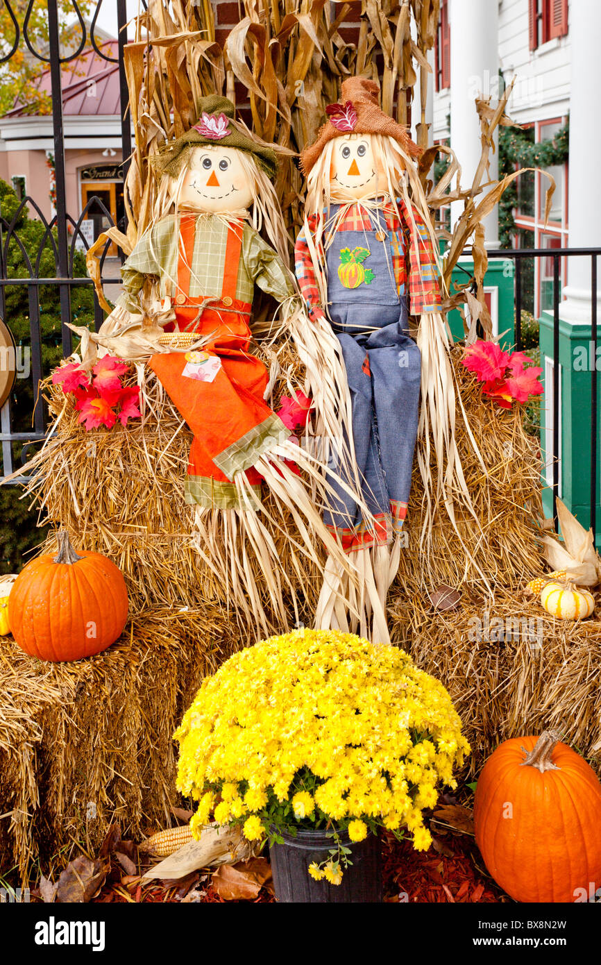 A fall display of scarecrows, pumpkins and corn stalks at