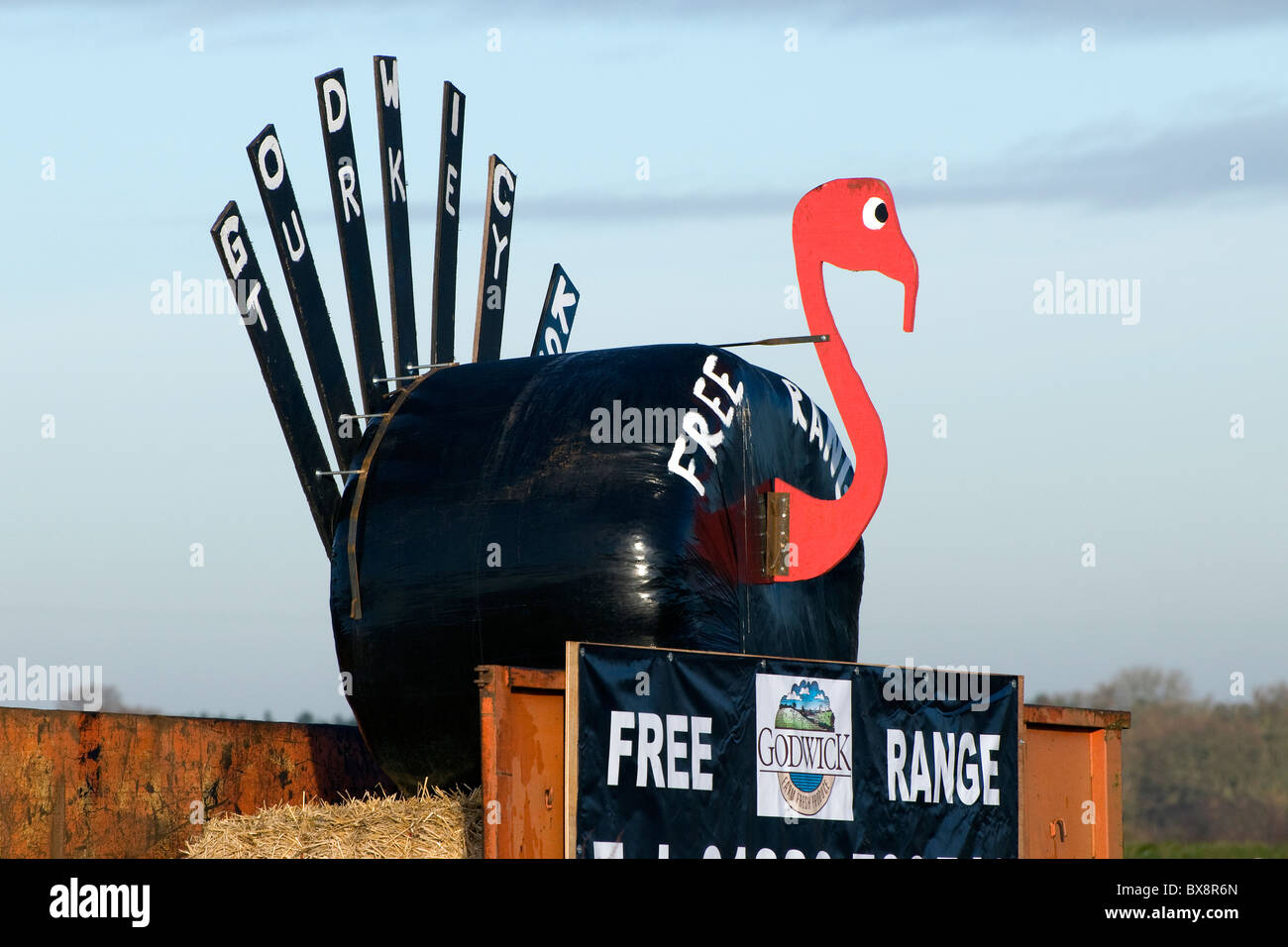 norfolk black turkey sign Stock Photo