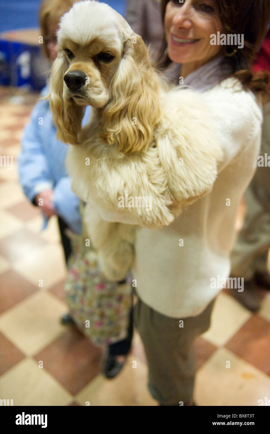 A dog and her owner await their turn to compete during the ASC Flushing