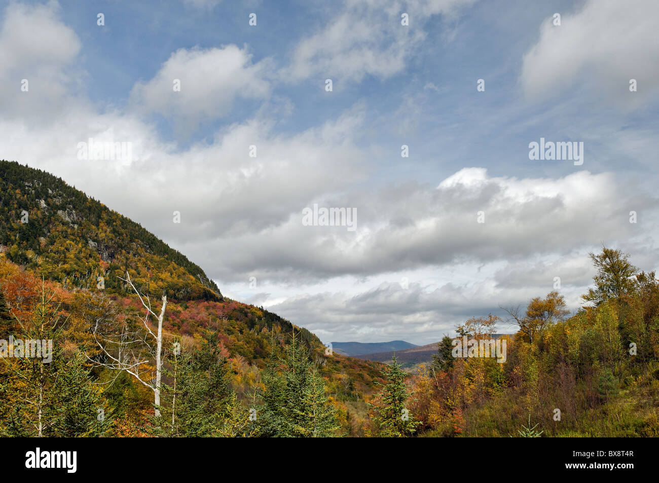 Autumn Color at Kinsman Notch in the White Mountains National Forest in Grafton County, New