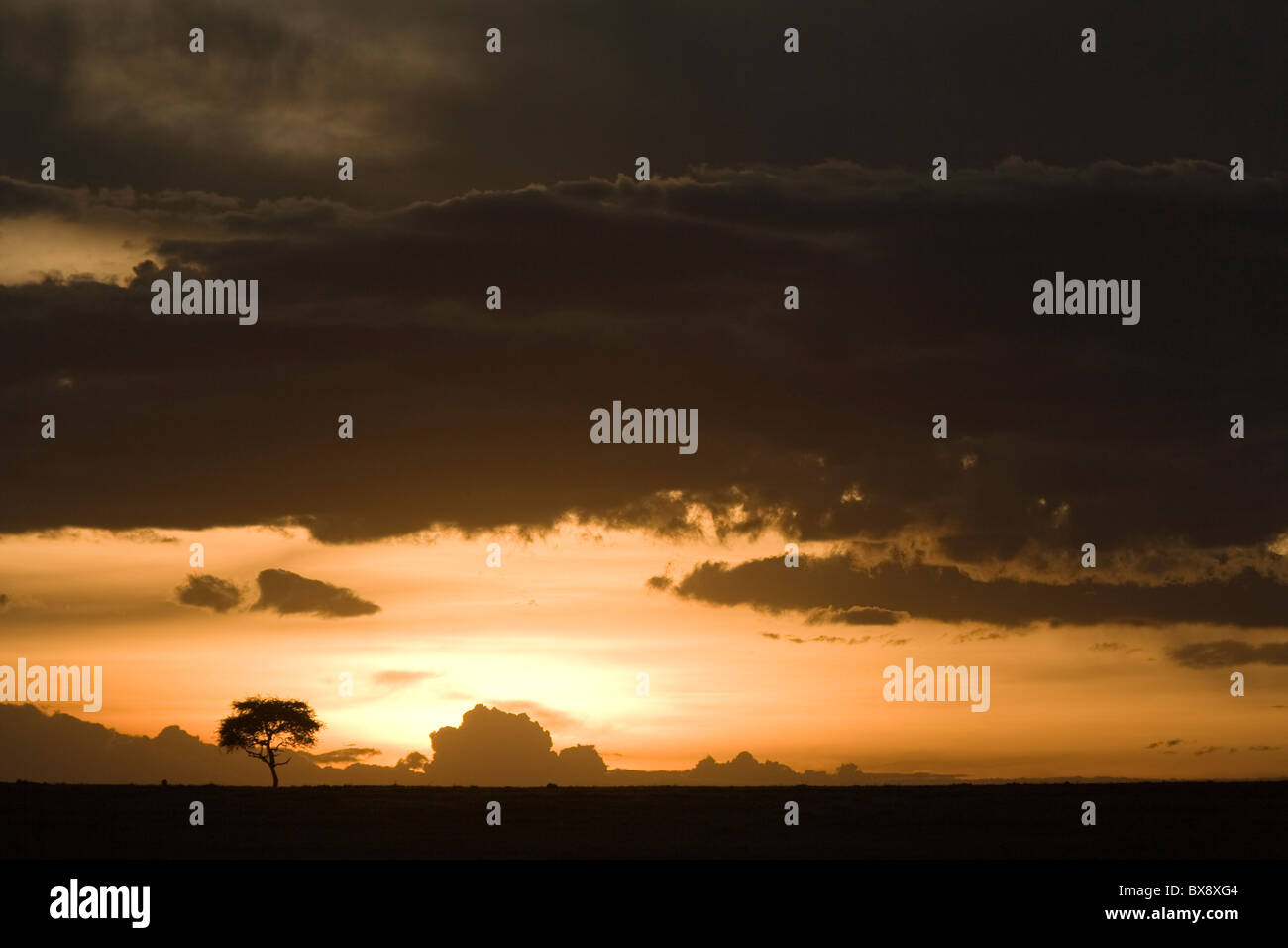 African sunset over the Masai Mara, Kenya Stock Photo - Alamy