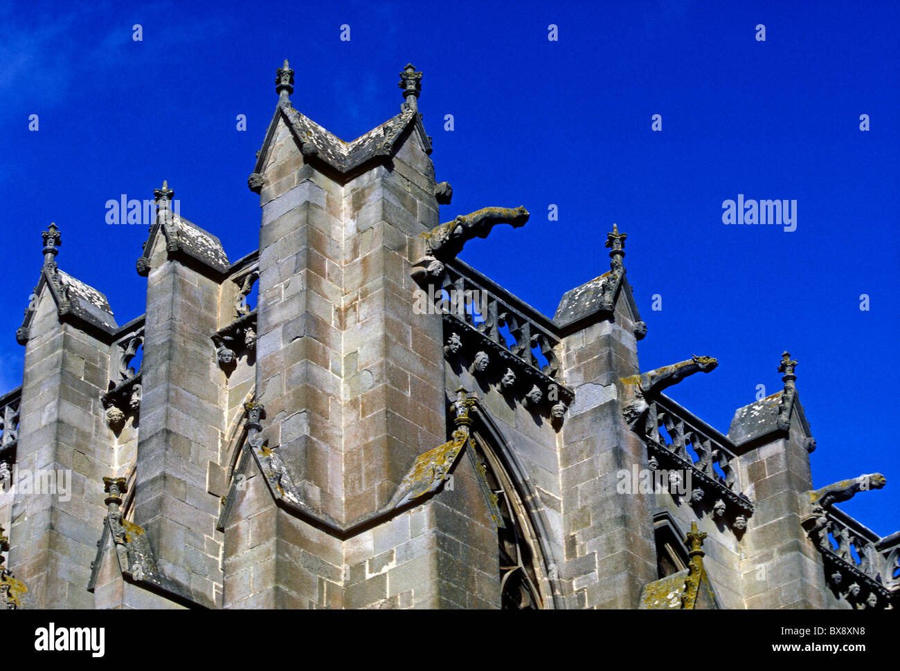 gargoyles, Basilique des Saints Nazaire et Celse, Saint Nazaire and Saint Celse Basilica, La Cite, town of Carcassonne, Languedoc-Roussillon, France Stock Photo