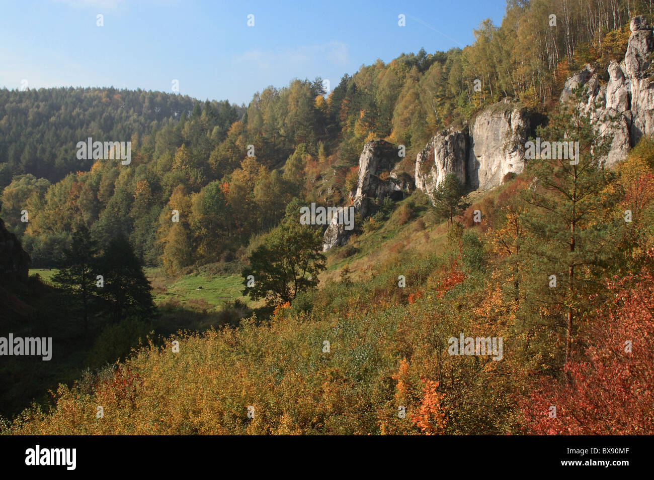 The Kobylanska Valley near Krakow, Polish Highlands, autumn Stock Photo