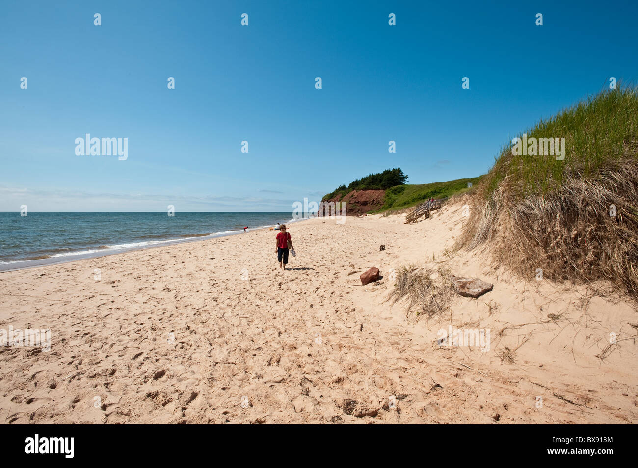 Singing Sands beach, Canola field, Bothwell, Prince Edward Island, the maritimes, canada Stock