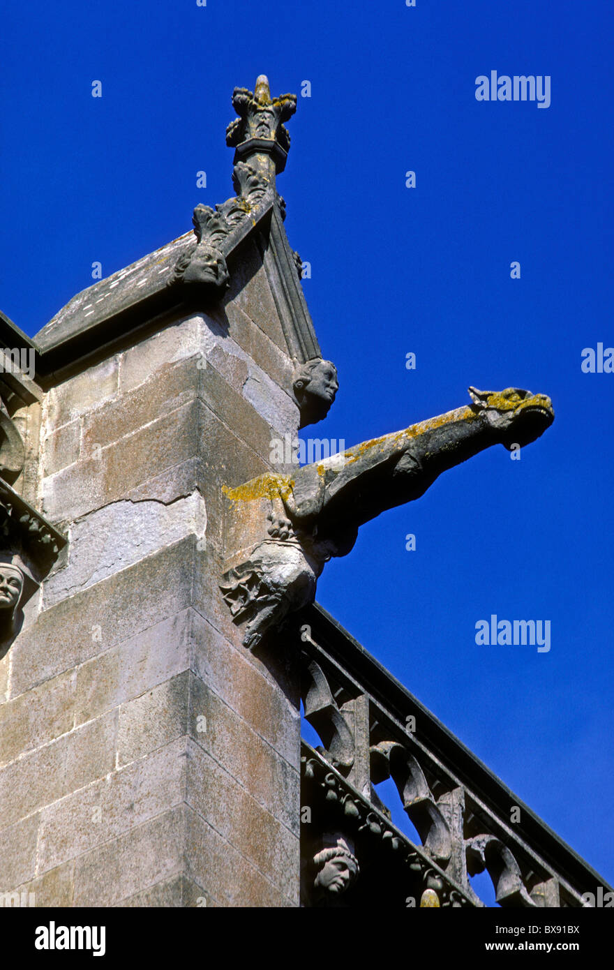 gargoyle, Basilique des Saints Nazaire et Celse, Saint Nazaire and Saint Celse Basilica, La Cite, town of Carcassonne, Languedoc-Roussillon, France Stock Photo