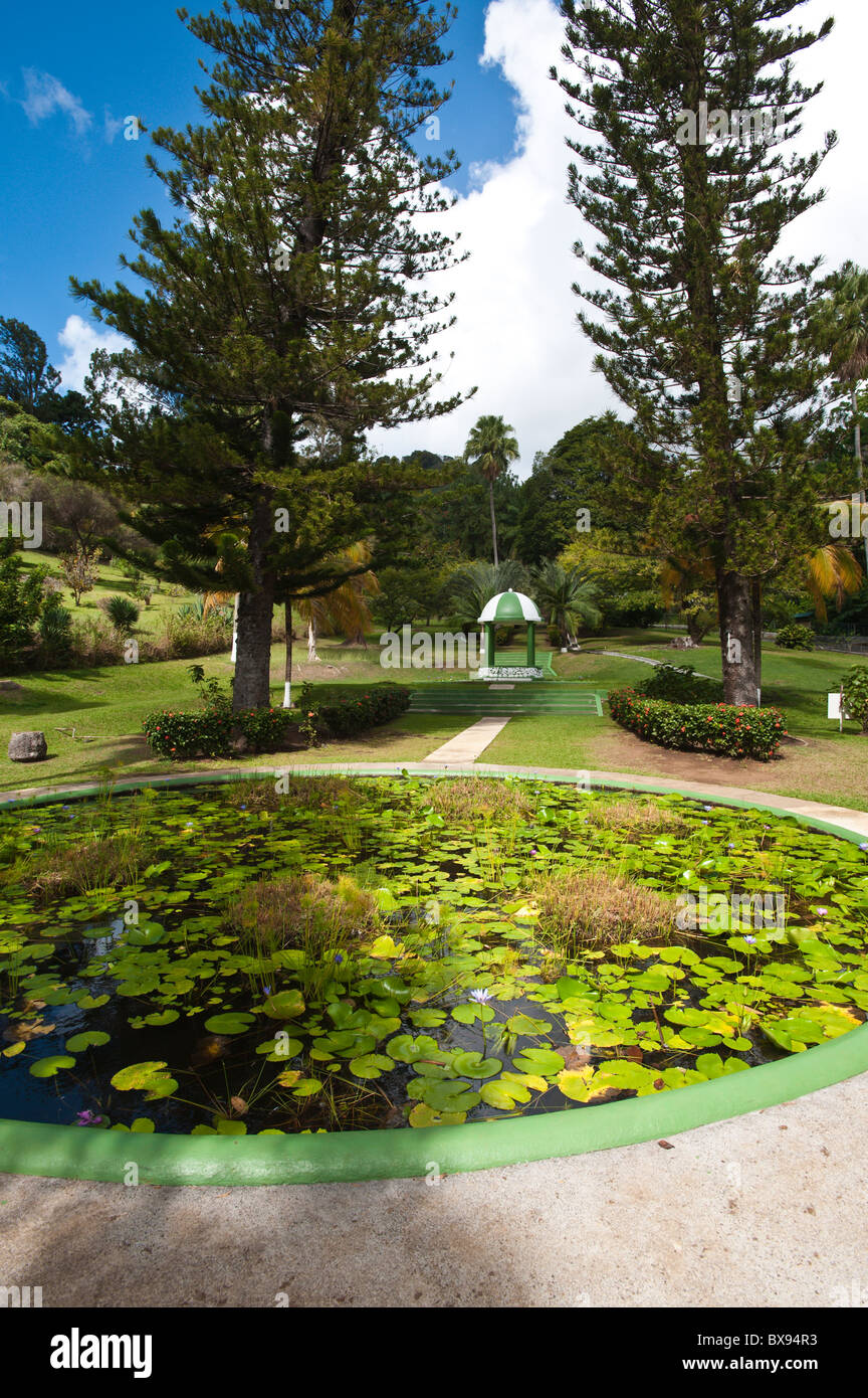 Kingstown Botanical gardens, St. Vincent & The Grenadines Stock Photo
