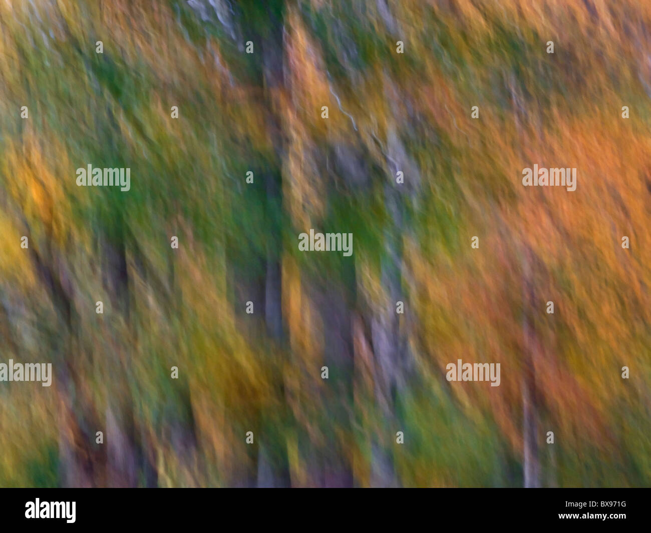 Dream-like blurry view of a forest in Autumn with colorful leaves in green orange and red and the feeling of movement as if we are driving by it. Stock Photo