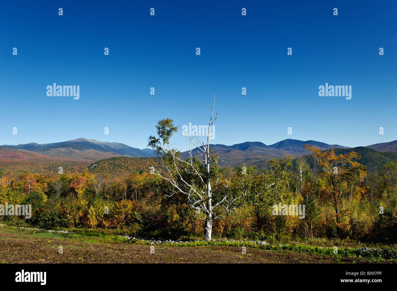 View of Mount Washington and other Mountains in the White Mountains National Forest in New Hampshire Stock Photo