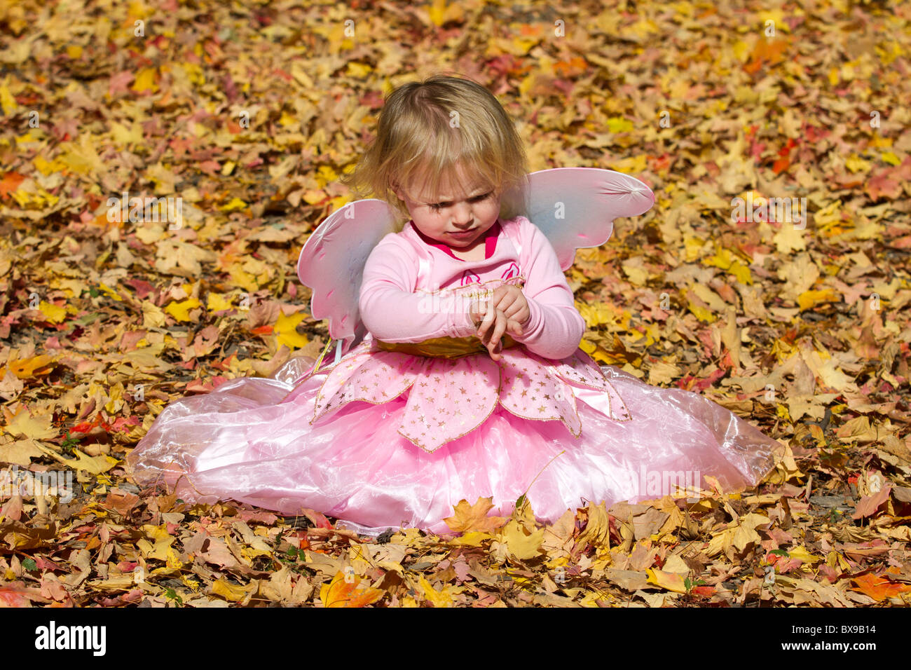 Dressed As A Fairy High Resolution Stock Photography and Images - Alamy