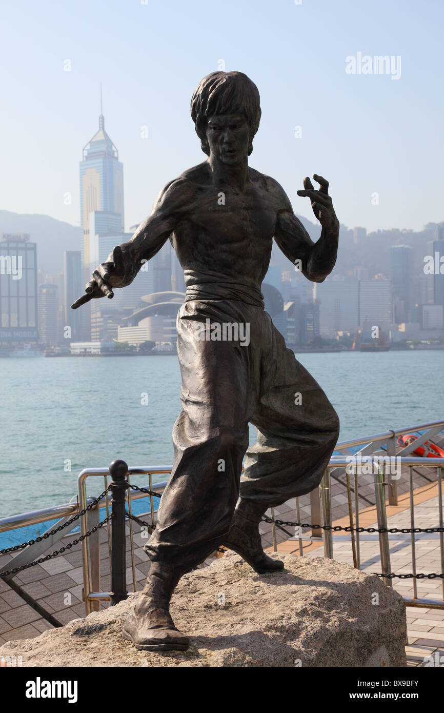 statuette photosculptée 10x15 cm star bruce lee 2 estatua statua 