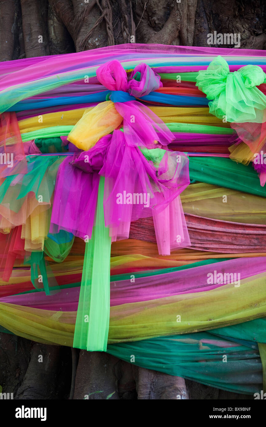 Coloured gauze around a tree hires stock photography and images Alamy