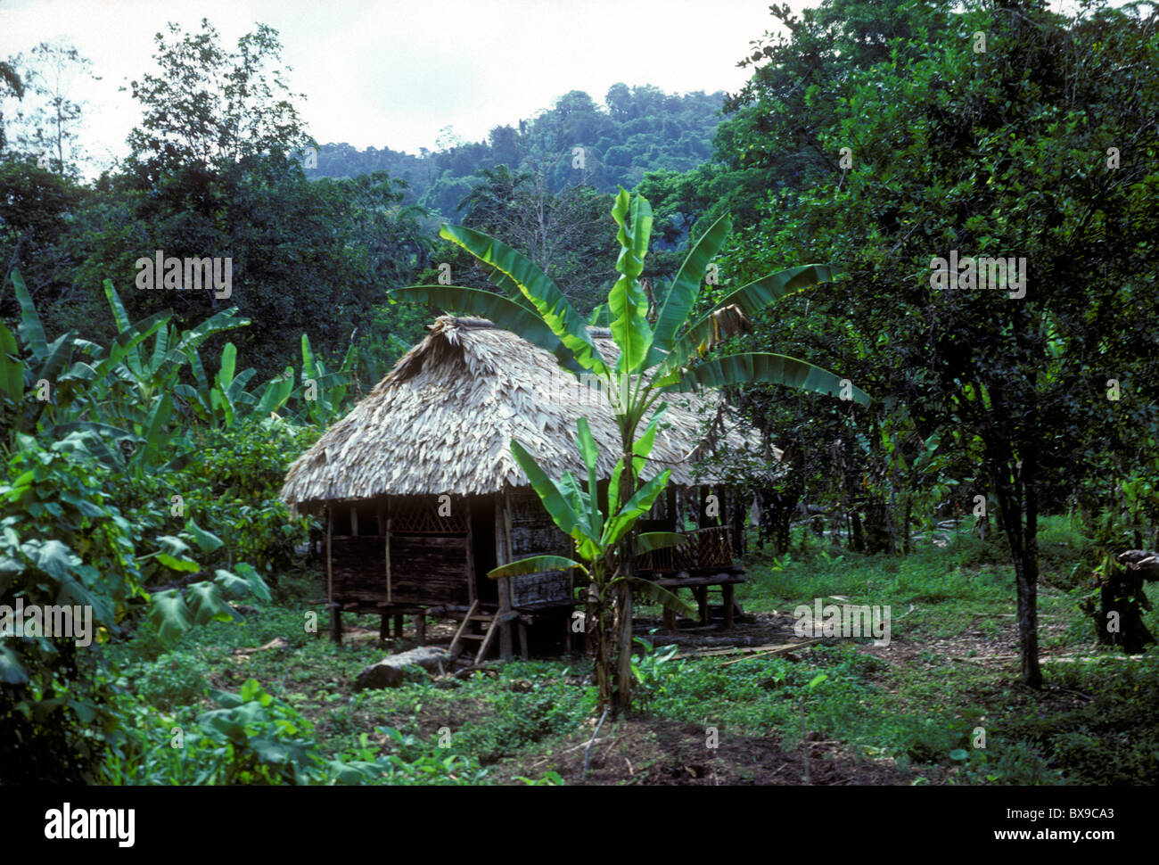Bribri Indian home, thatched roof hut on stilts, house on stilts, Talamanca Indigenous Reservation, Limon Province, Costa Rica, Central America Stock Photo