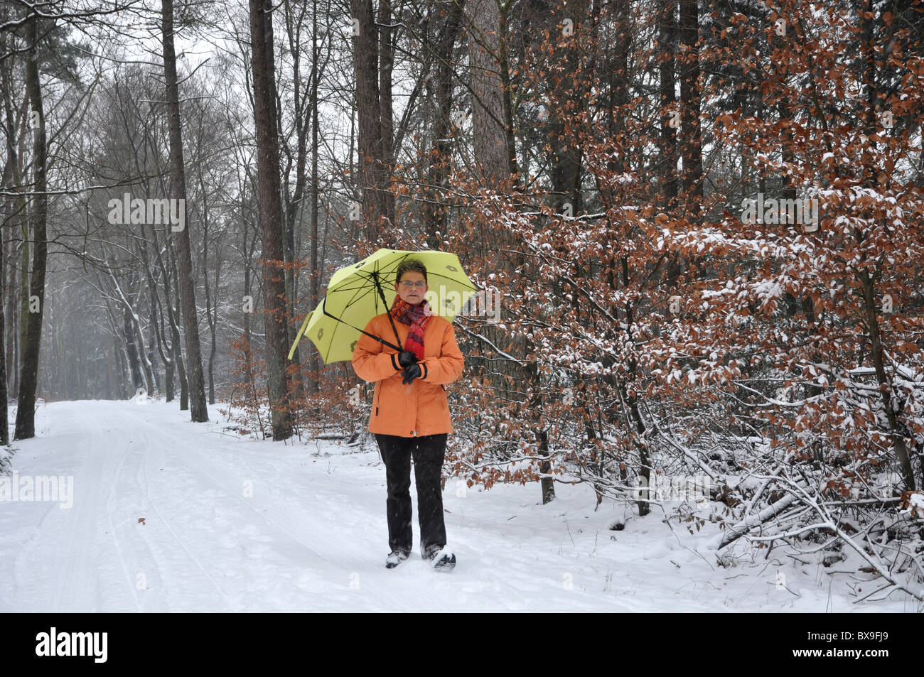 Senior woman walking in a snowy forest Stock Photo