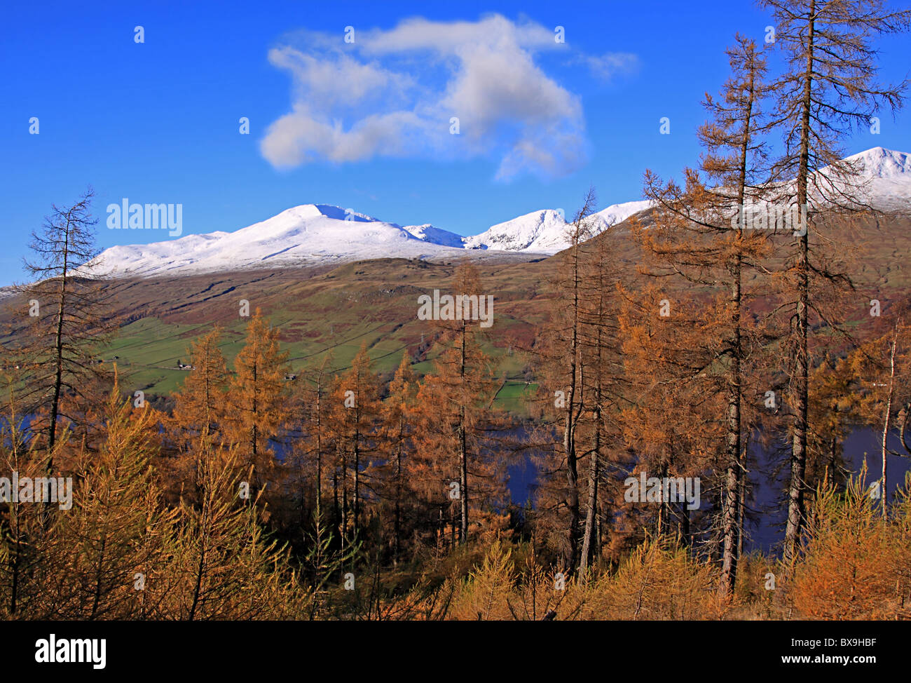 UK Scotland Tayside Perthshire Ben lawers and Loch Tay in Autumn Stock Photo