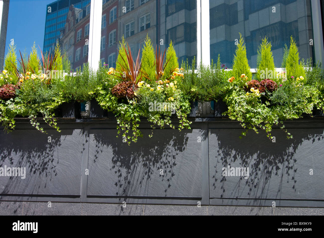 London window boxes hires stock photography and images Alamy
