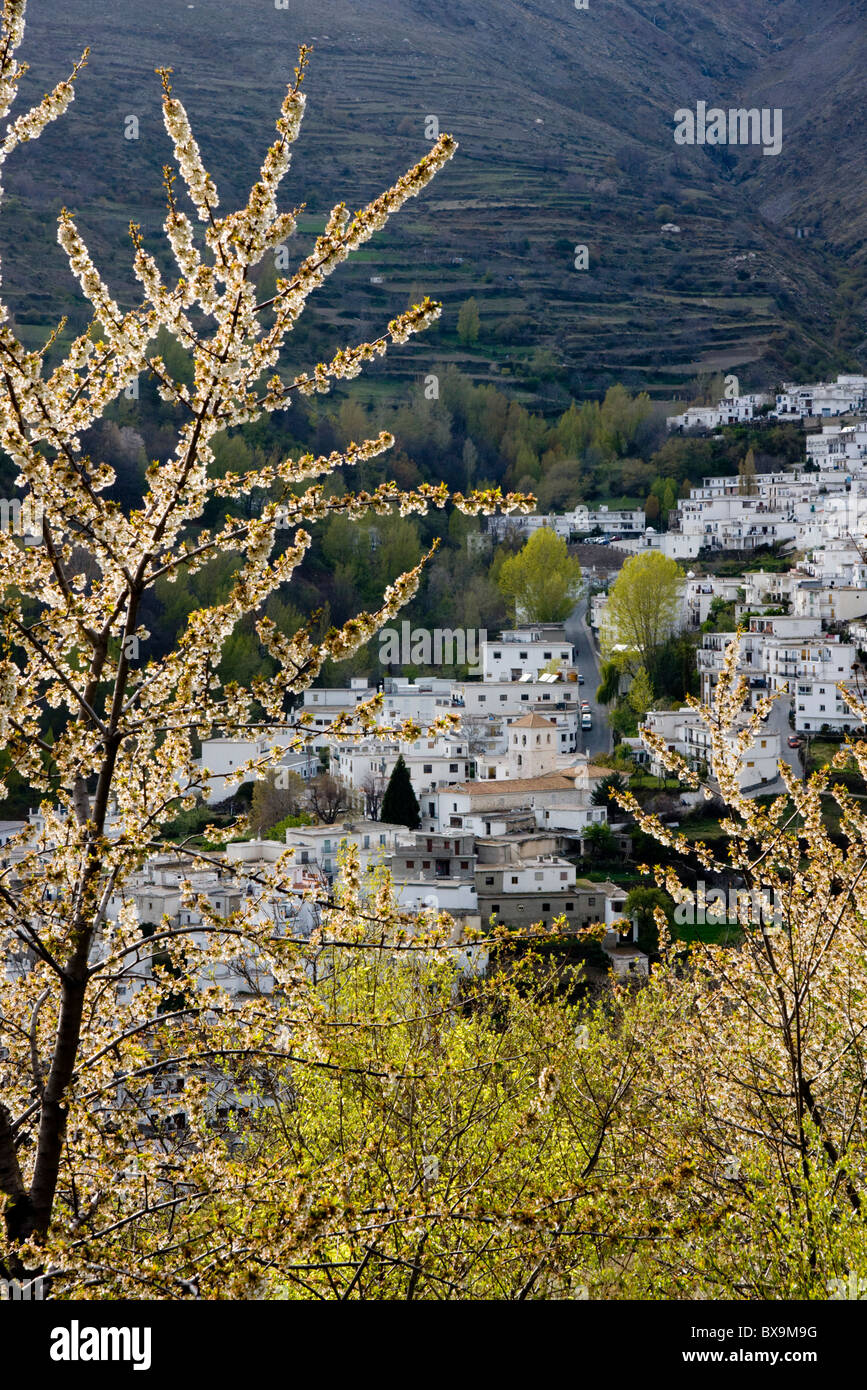 Andalucia, Sierra Nevada, Trevelez Spring Stock Photo