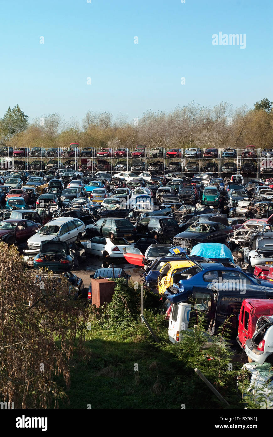 Scrapyard of cars near Downham Market Norfolk UK Stock Photo Alamy